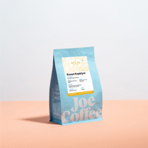 Kenya Kapkiyai