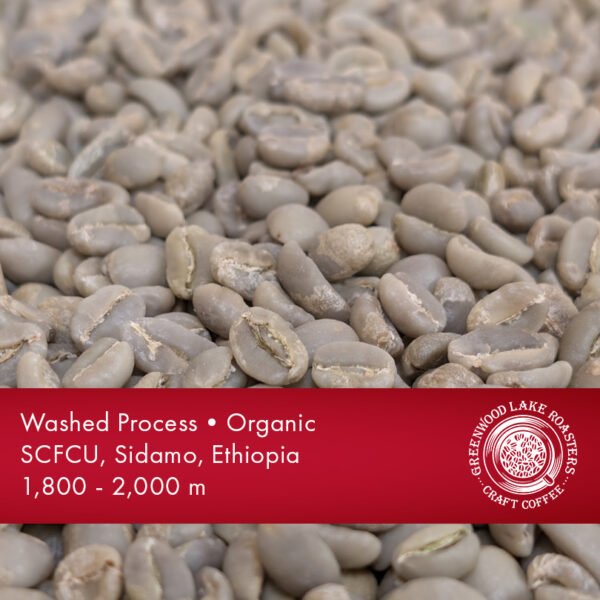 Ethiopian Sidamo - French Roast - Image 2