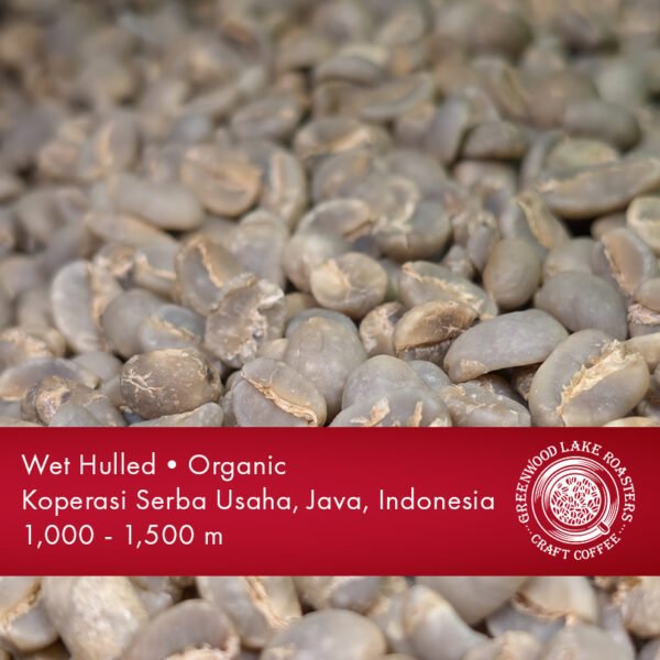 Java - Medium Roast - Image 3